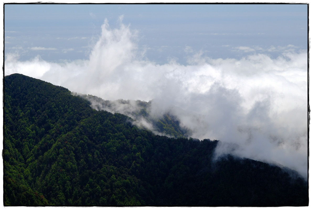 Paparoa NP: Paparoa Track (diciembre 2024) - Escapadas y rutas por la Nueva Zelanda menos conocida (16)
