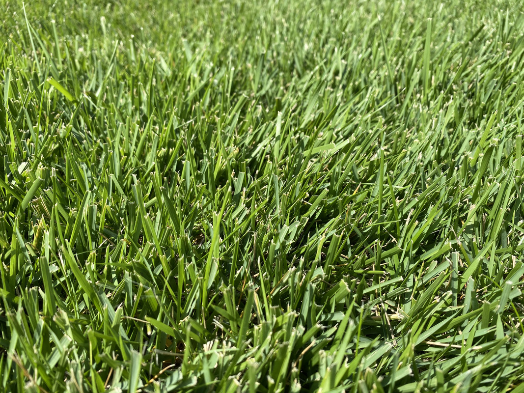 BF0682BF-DBD6-48A9-9547-B263ECD7FBBB