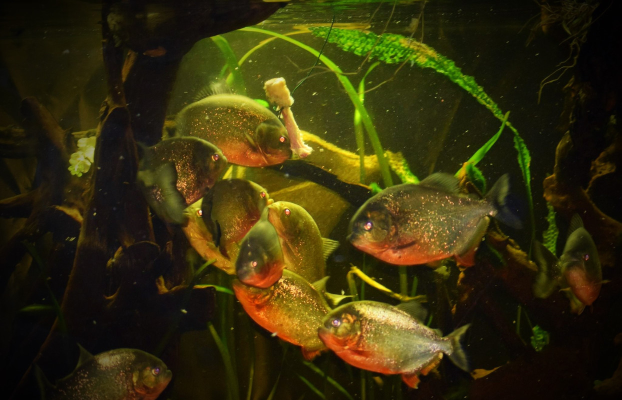 1F08BD64-FCFF-4C4F-8A57-3B517070ABA4