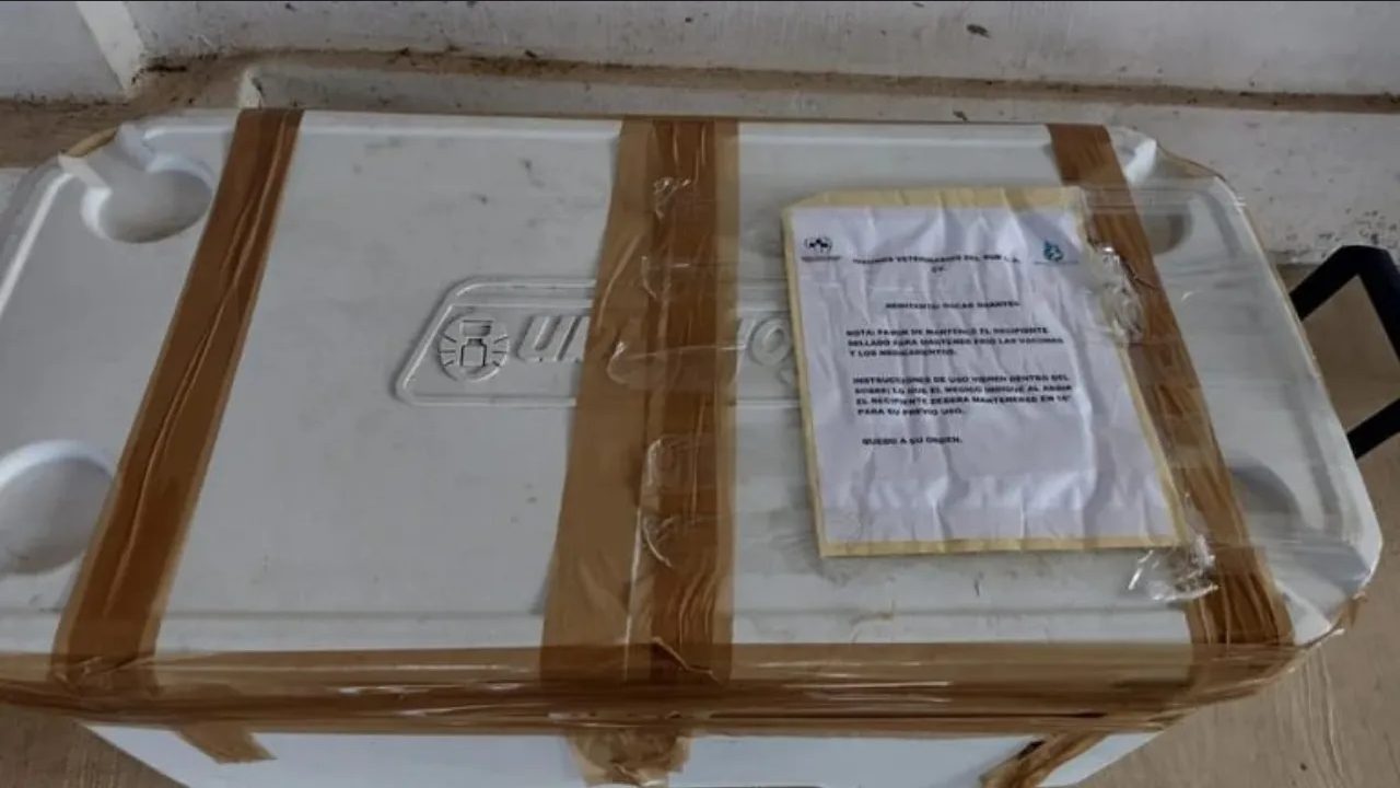 Cártel de Sinaloa deja una hielera con cabezas humanas en Chiapas