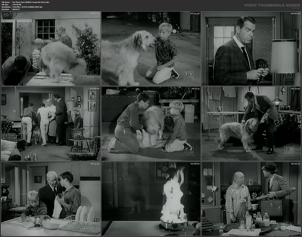 My Three Sons S02E04 Tramp the Hero.mkv
