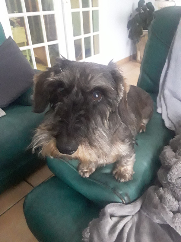 [Image: 20241031-164510.jpg]