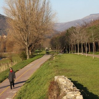 a870bfa01d0b8d52bb43f9bf8365df56