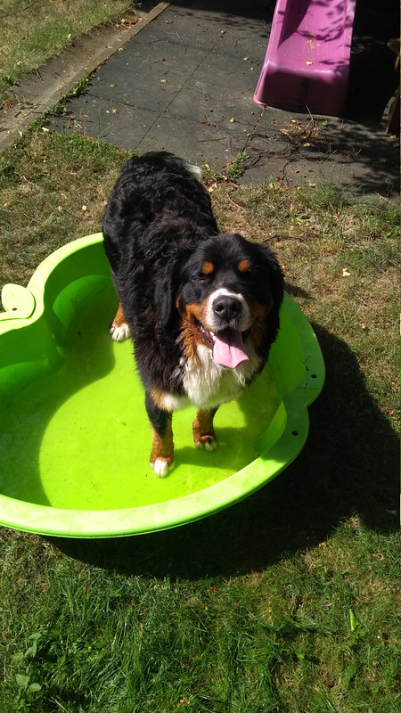 IMG 20190701 155206017