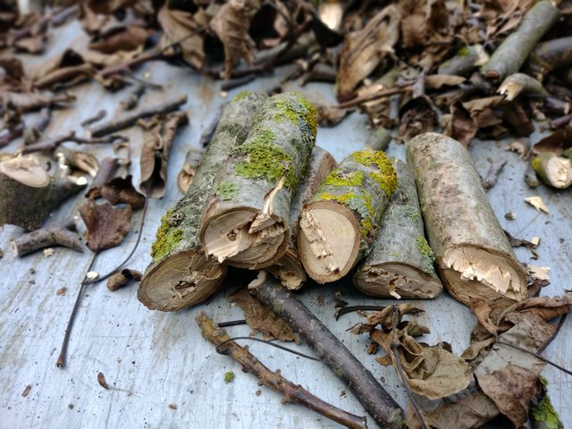 IMG_20241211_101322366_MF_PORTRAIT