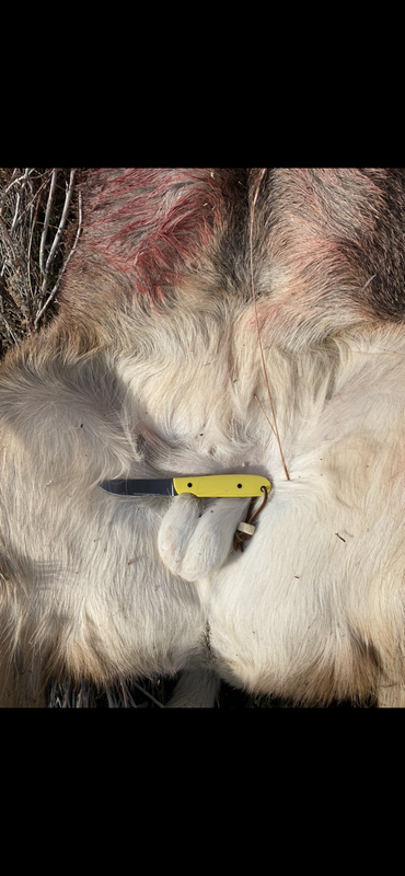 IMG_9306