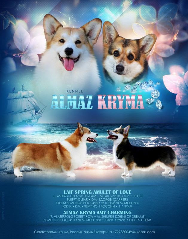 без кол-ва щенков