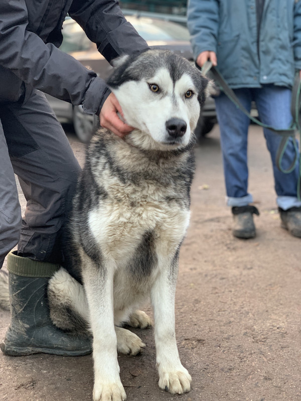 2F6CB2DE-02BB-4DBA-9941-BBCD329CF4FA