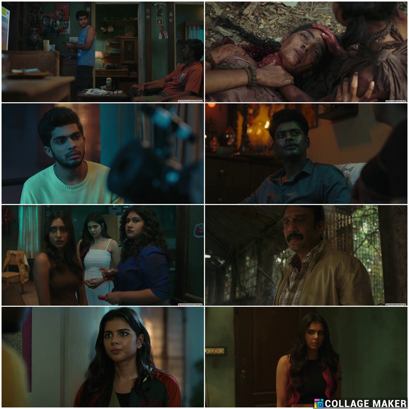 Lokah Chapter 1: Chandra 1