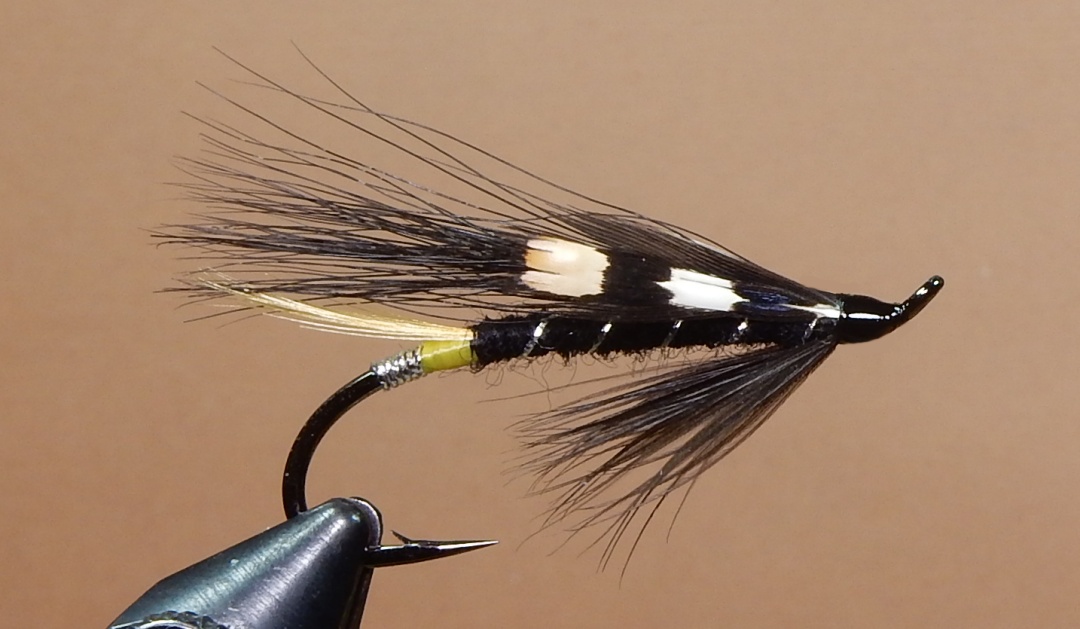 Black-Star-1080.jpg