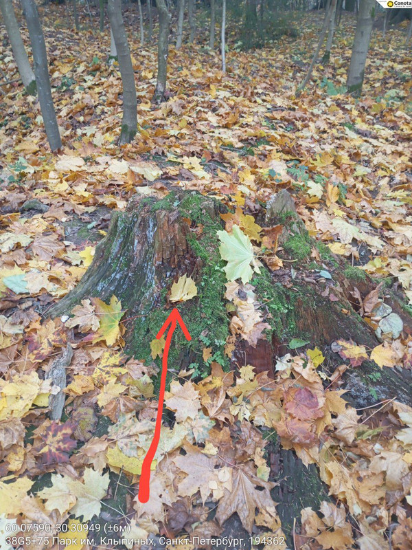 IMG 20251025 041032 014