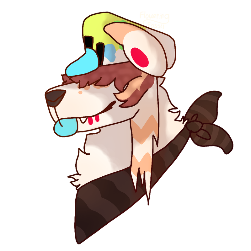 52690414_5tzh9Qi5Z4uug72