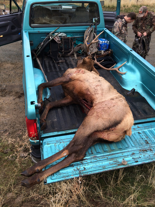 A10E176A-A3AA-4214-8F2C-FF2E2C346AA8