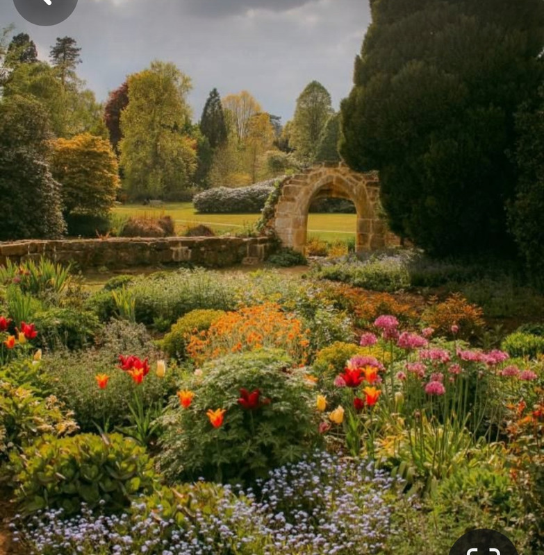 Screenshot_20240331_000149_Pinterest