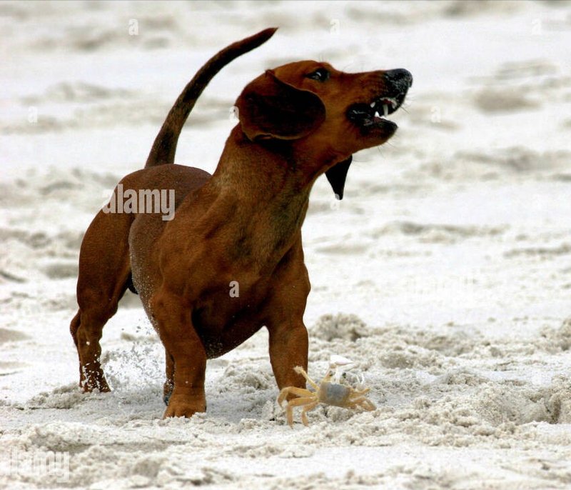 [Image: 20240429-151829.jpg]