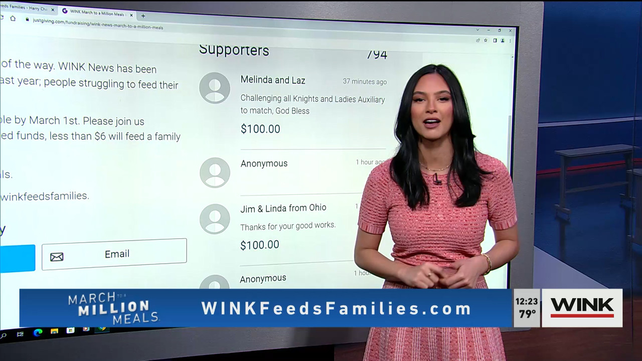 02.07 - 17.00.00 - The WINK Noon News  ᴺᵉʷ. Midday news update..ts_snapshot_29.48.754