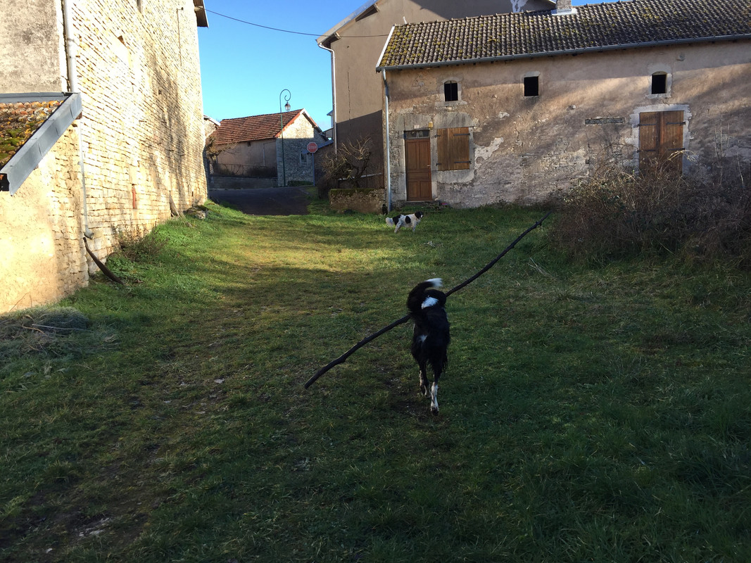 82C313D7-B64A-4A87-964D-2A862C5A3847