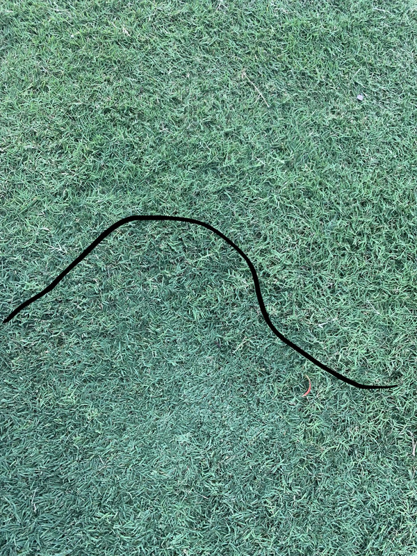 4879601F-D928-4C21-9FB8-628954A568AD