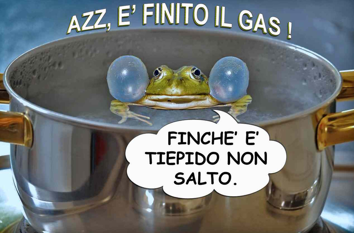 resized-RANA-BOLLITA-STOP-GAS