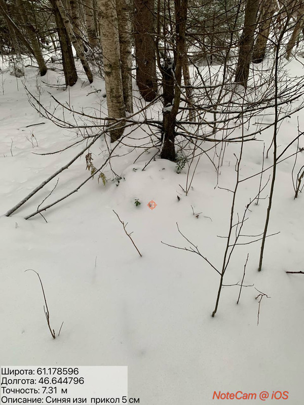 IMG 20251208 233558 645