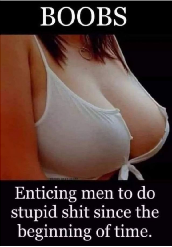 Screenshot 2026 07 11 at 09 28 04 Post a MEME Thread Page 5858 Yellow Bullet Forums