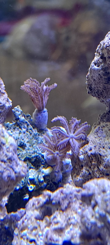 изображение_viber_2020-09-30_12-59-45