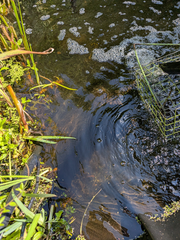 PXL_20250802_143751791.MP