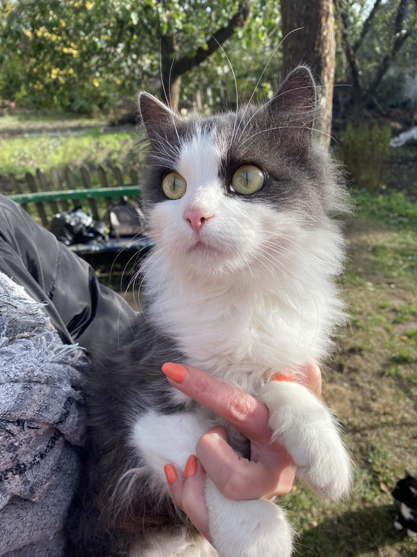 IMG-e56c16d6d16fef44fdb0f4ee1385512a-V