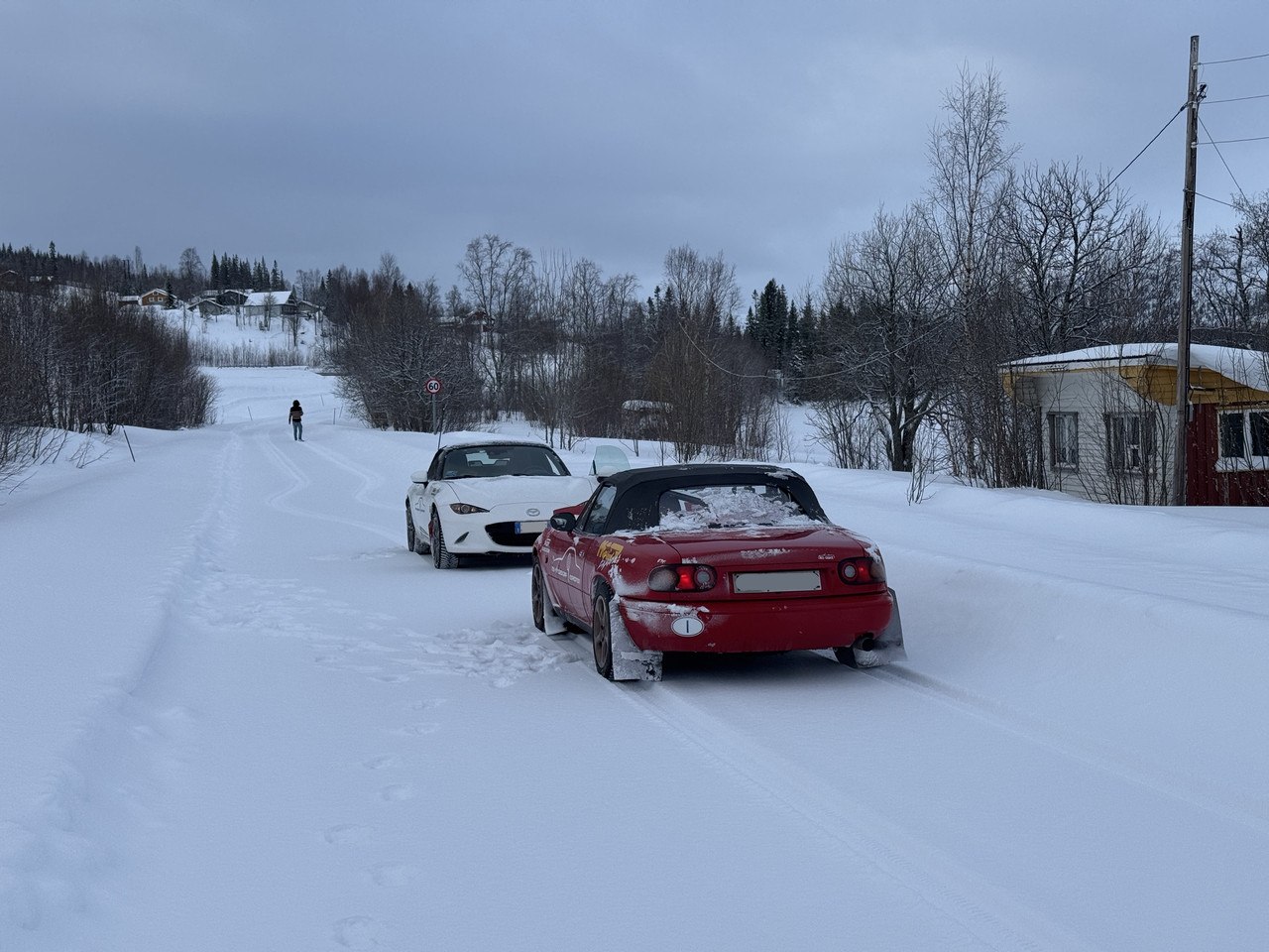 [Immagine: IMG-9209.jpg]