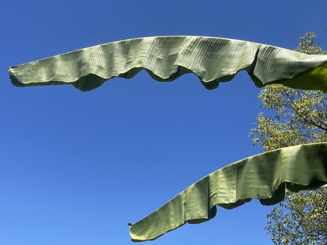 6E9D2F9D-A934-4C44-9CE7-8BC587AE654C