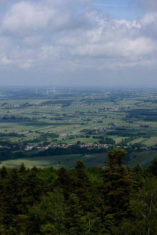 02.12 - ZdjZlotXVIIPsychologPełnaJakość00030 (Psycholog)