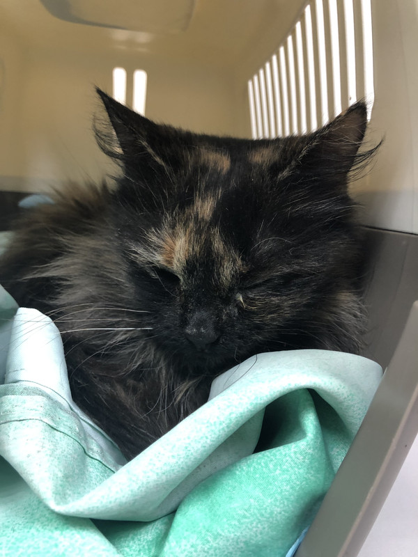 E90A6191-9788-4CCB-BD56-5E9F3404BC08