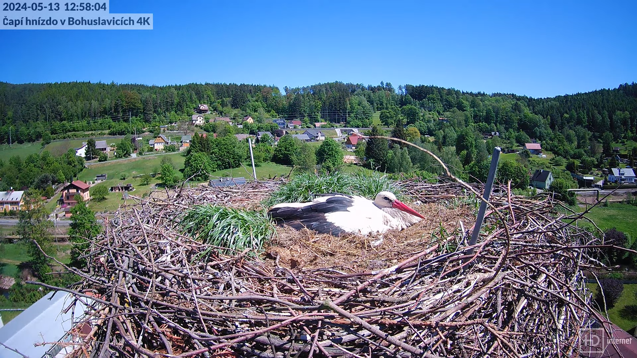 Živě z čapího komína firmy KARA v Bohuslavicích u Trutnova 7-51-4 screenshot