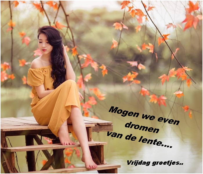 Klik op de afbeelding om de link te volgen