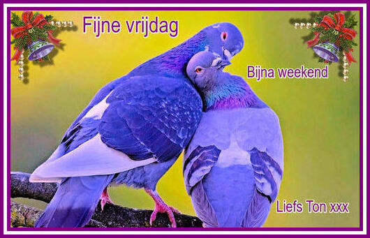 www.krabbelplaatjes.com