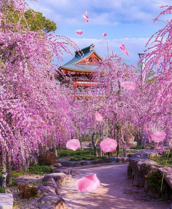 Screenshot_20240420_212656_Threads