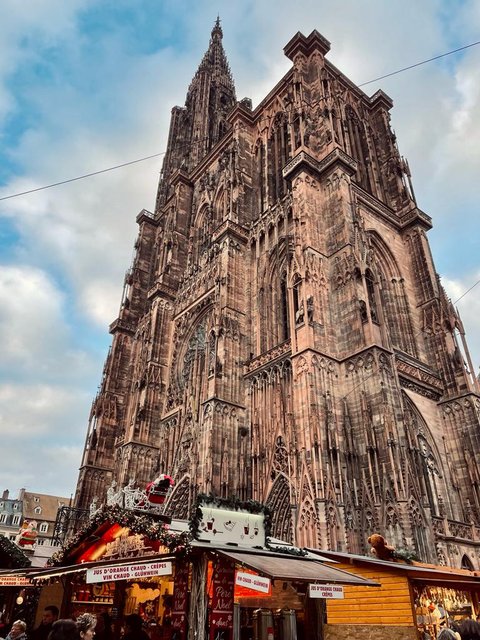 Puente de la Inmaculada 2022 en Alsacia - Blogs de Francia - ALSACIA EN NAVIDAD VISITANDO EL CASTILLO DE ALSACIA, COLMAR Y ESTRASBURGO. (29)