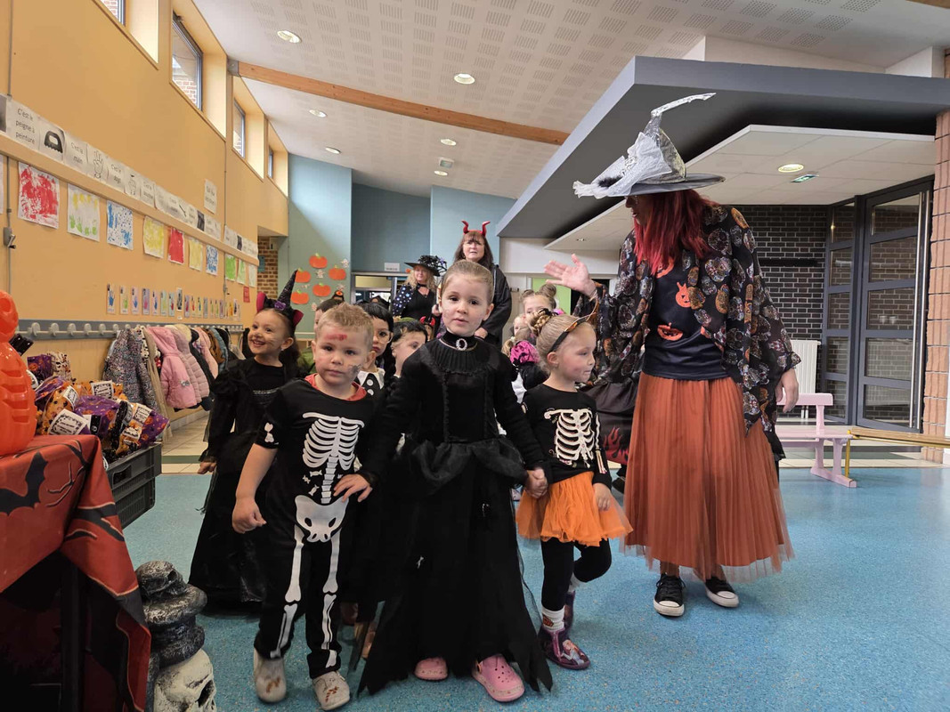 550927684_1330977635342196_433848225247005652_n