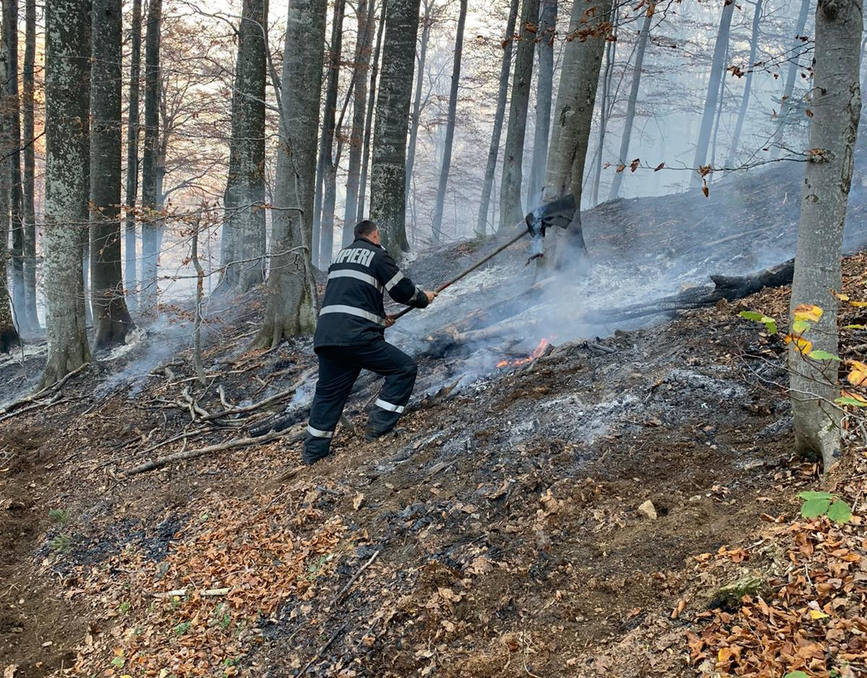 [Imagine: Incendii-la-fondul-forestier-din-zonele-...-Tereg.jpg]