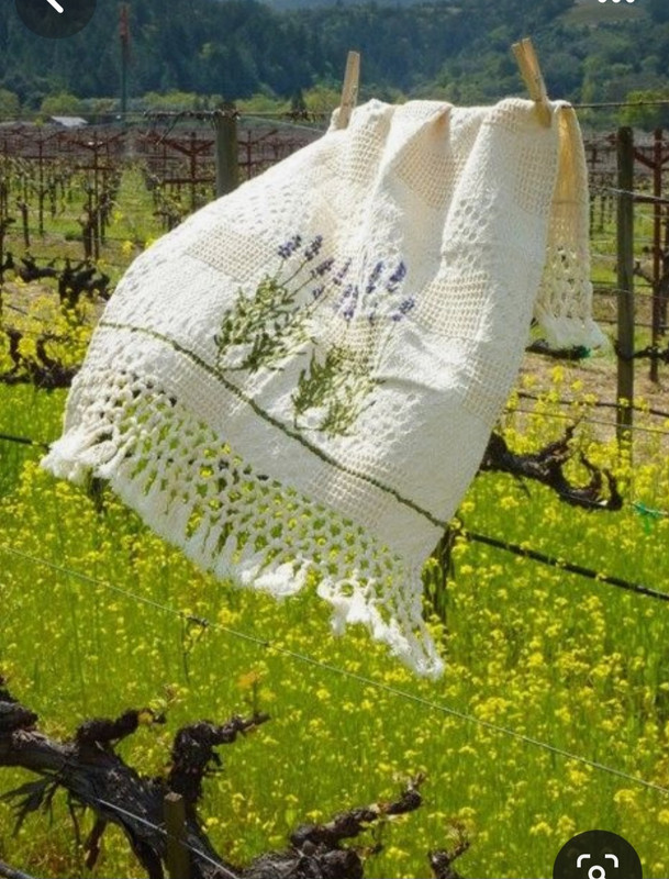 Screenshot_20240331_000810_Pinterest