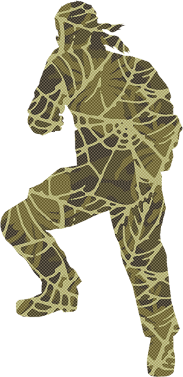 [Image: Exposed-Spider.png]