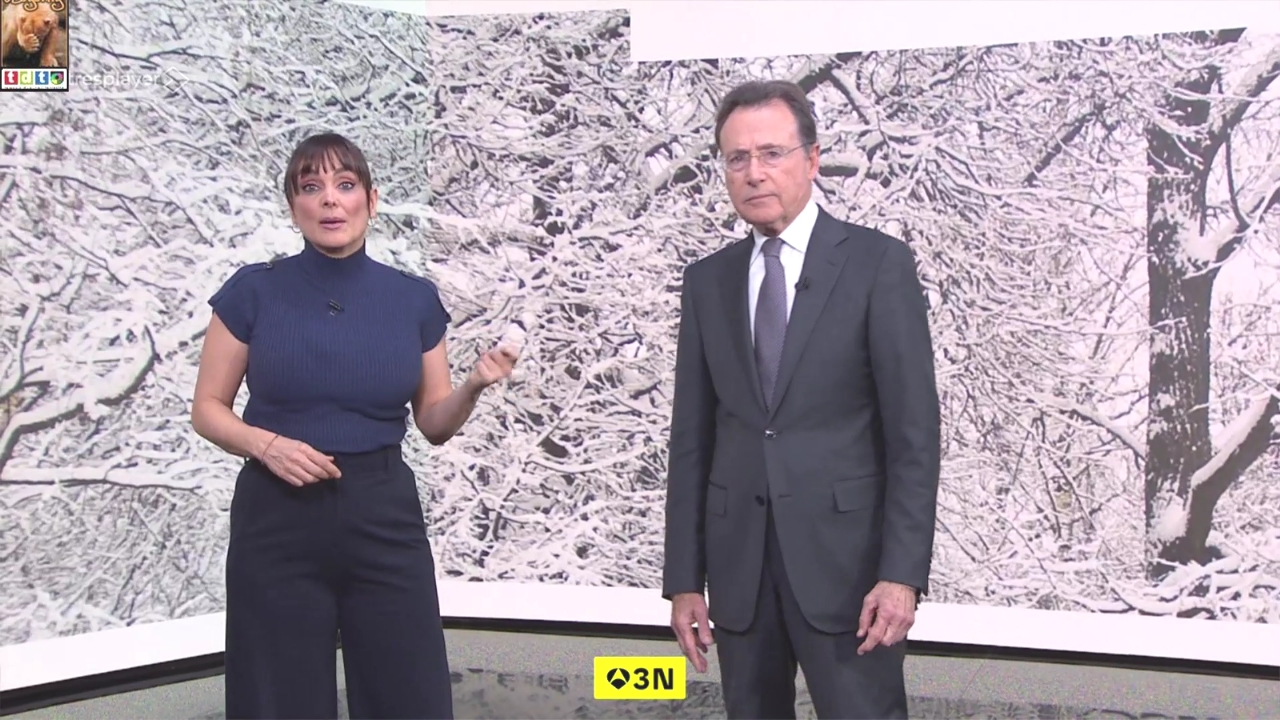 carrillomelonesazul oso5 (8)