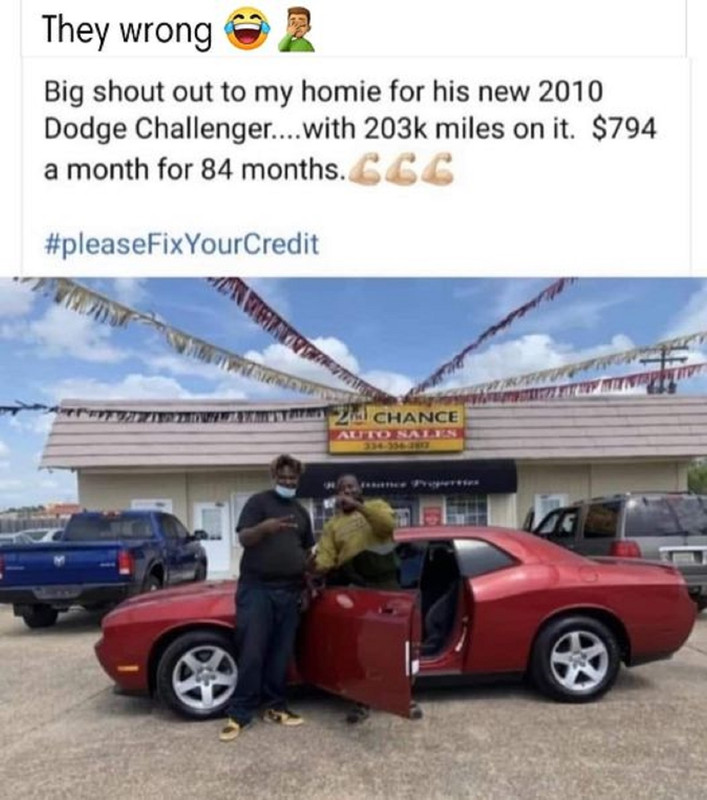 87503730.jpg