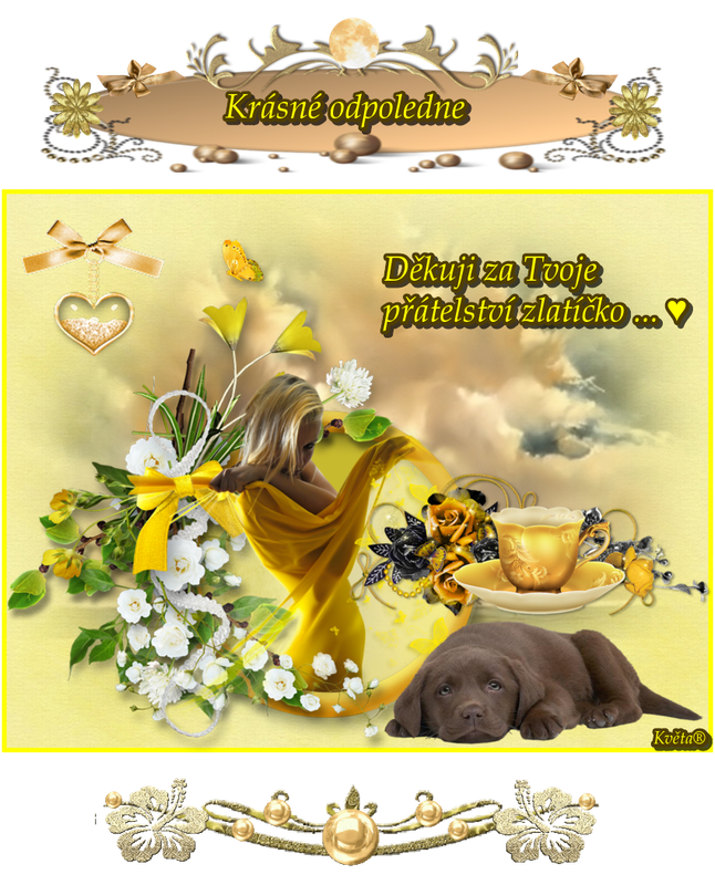 Děkuji za milé přátelství