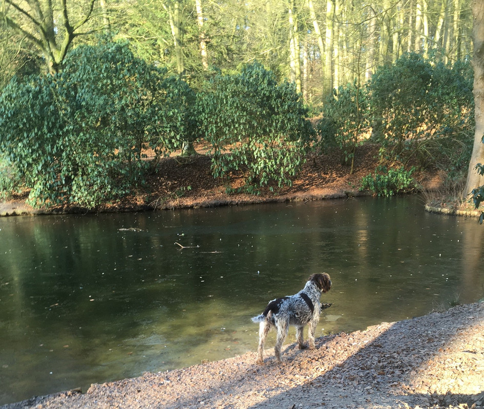 2025-17-02 IJs op de vijver Claire IMG_4710 (002)