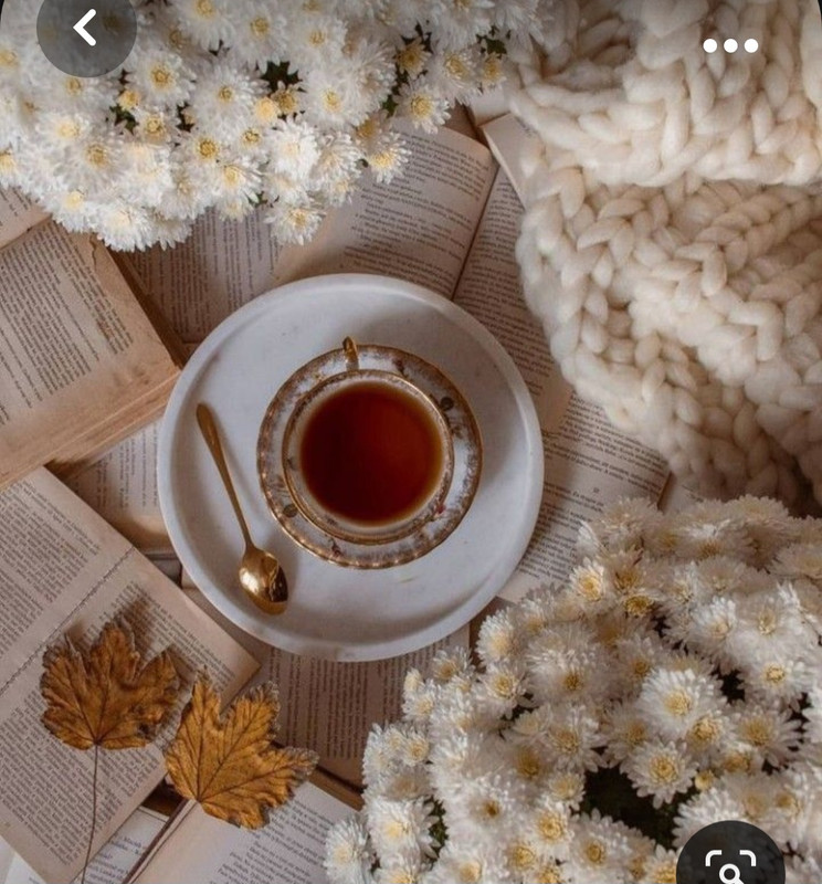 Screenshot_20230928_224734_Pinterest