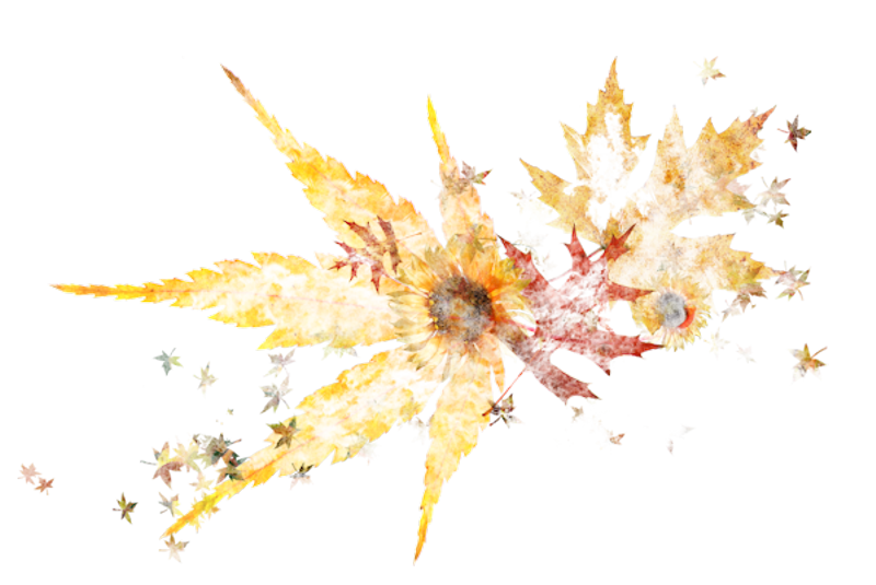 IPD_AH_Element (130)