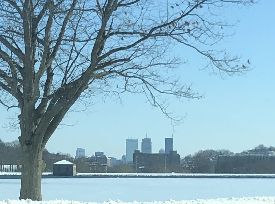 3D000FDA-1897-49DC-AB2C-09CAF55D58CE