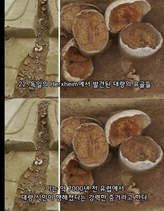 캡처_2023_02_21_15_06_42_107