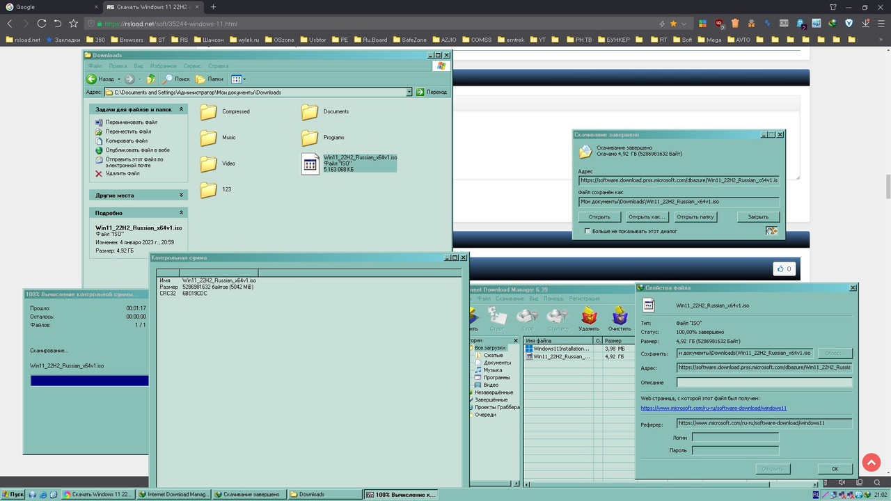 Screenshot_Downloads